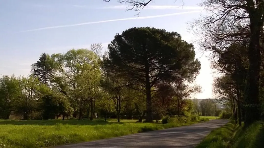 Mirelaure, Havre Convivial Au Coeur De 32 Hectares Villa Mirepoix  Mirepoix (Gers)